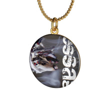 Load image into Gallery viewer, mesSAGE single loop laurel coined necklace