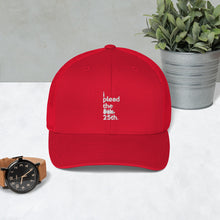 Load image into Gallery viewer, Trump Impeachment / Constitution inspired I plead the 25th Trucker Cap