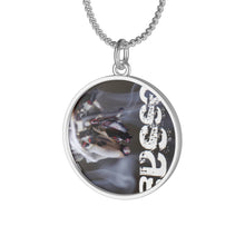 Load image into Gallery viewer, mesSAGE single loop laurel coined necklace