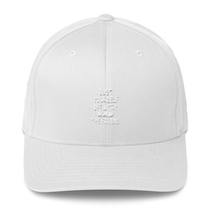 If at first you don't succeed.... " Dust Yourself Off and Try The Friend " Structured Twill Cap