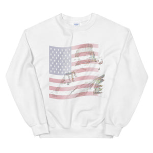 "MLK King / America I Have A Dream" Unisex Sweatshirt