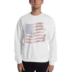"MLK King / America I Have A Dream" Unisex Sweatshirt